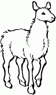 Llama Coloring Sheet Animals