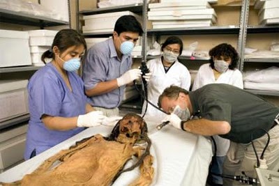 se ve a los paleontologos estudiando y observando a la Señora de Cao