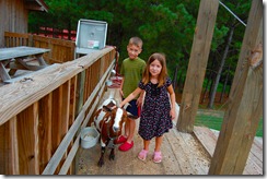 Nigel, Emma and the goat