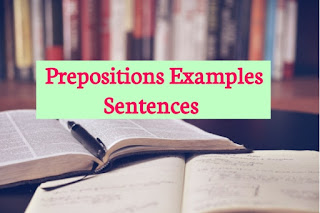 Preposition Examples Sentences