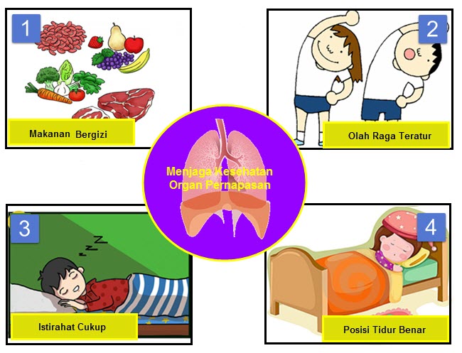 Koleksi Kekinian Poster Gambar Cara Menjaga Organ Pernapasan