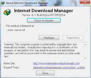 Internet Download Manager (IDM) 6.11 Build 8 Final Full Version