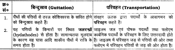 Solutions Class 11 जीव विज्ञान Chapter-11 (पौधों में परिवहन)