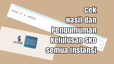 Cara Melihat Kelulusan SKD dan Hasil SKD CPNS 2019 Seluruh Formasi Mudah dan Simple