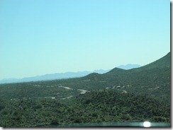 DSCN3431