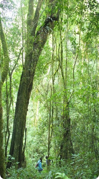 Parque Provincial Cañadón de Profundidad2
