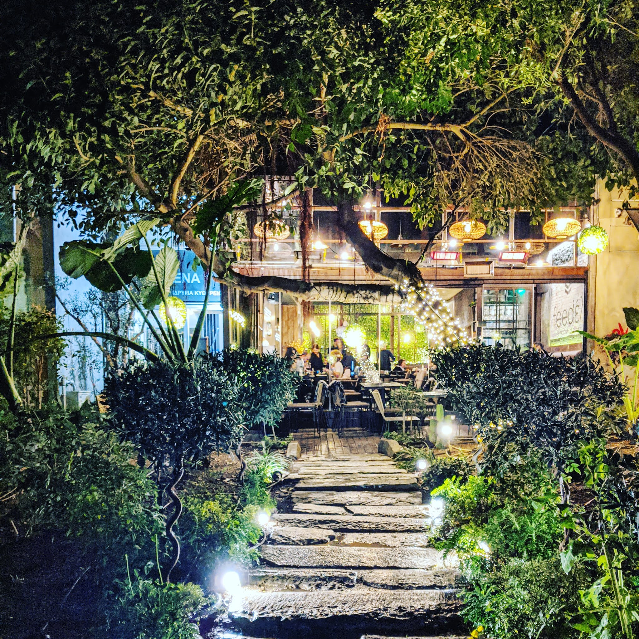 trees and fairy lights leading to athens restaurant feedel