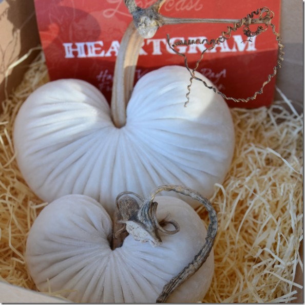 HeartGramSetWhite-590x590 HeartGramSetWhite-590x590