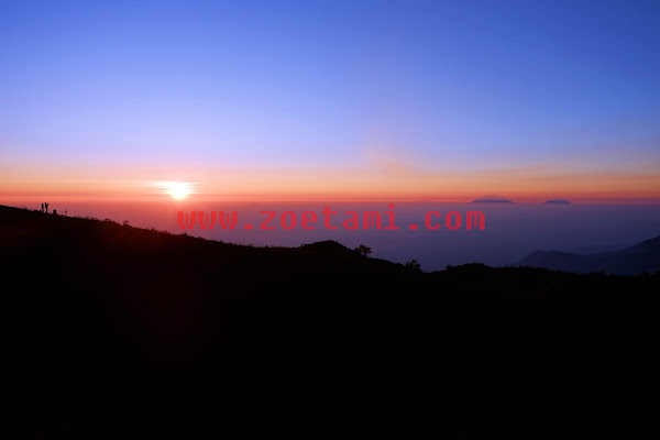 Mendaki Gunung Prau, Si Cantik yang Ramah Pemula