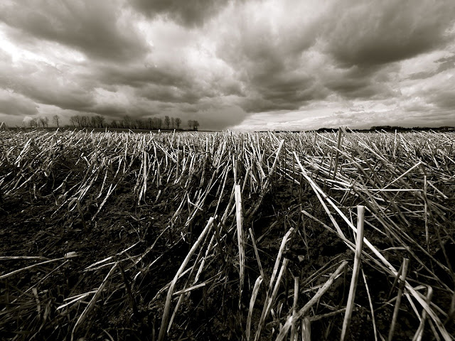 Black And White Cloudy Farm Picture