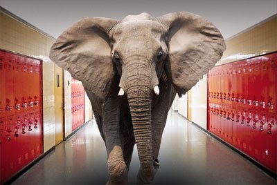 Poverty: The Elephant in the Classroom