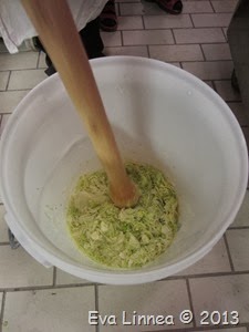 IMG_8319 IMG_8319