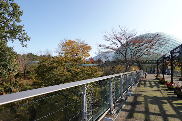 鳥取県西伯郡南部町鶴田　とっとり花回廊　プロムナード橋