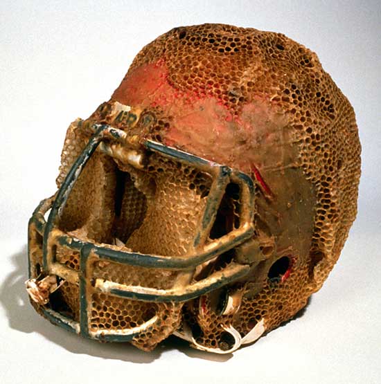 football helmet aganetha