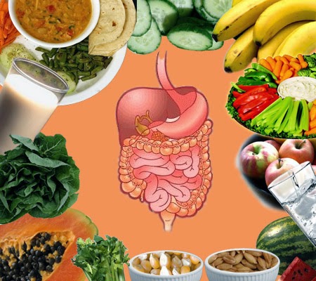 Food For Digestive Health