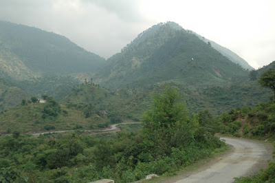 Lush Green Mountain