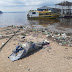 Corpo sem cabeça é encontrado boiando em rio na zona Sul de Manaus