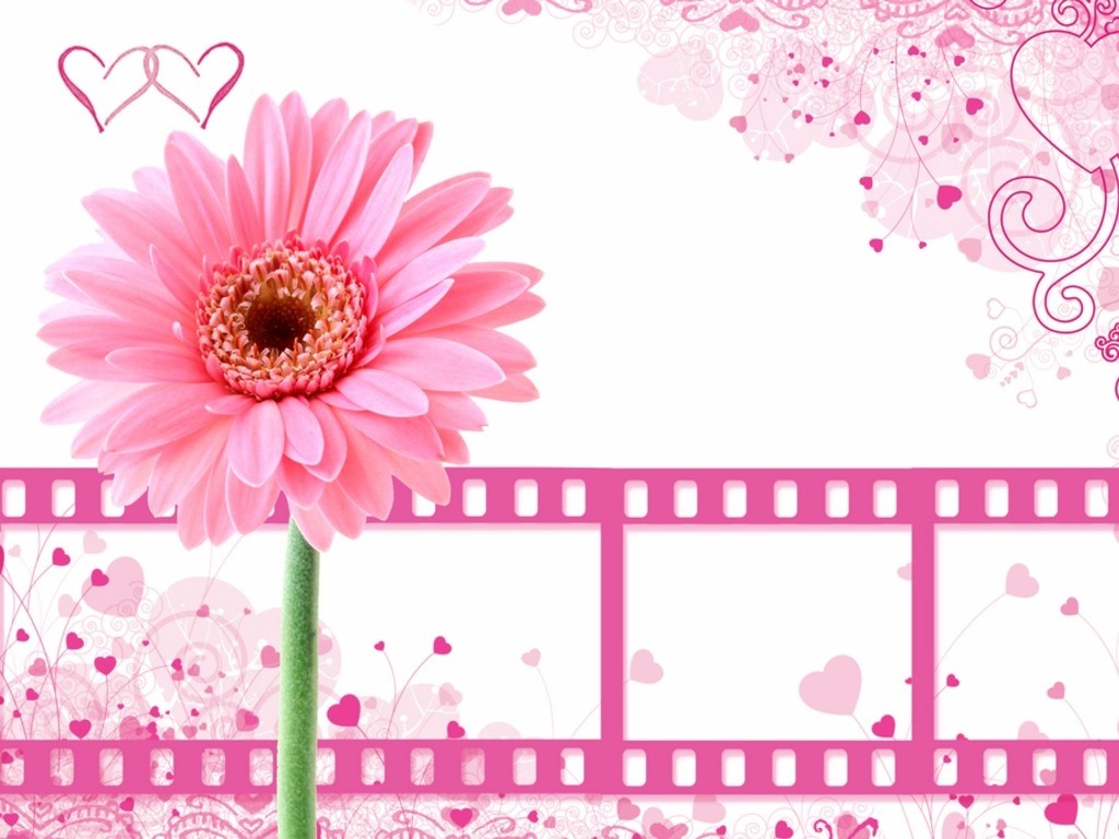 Pink Wallpapers Cute Girly Desktops Pink Twitter Backgrounds