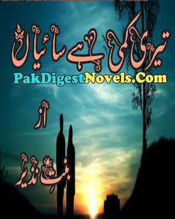 Teri Kami Hai Saiyaan Novel By Bint E Nazeer Pdf Free Download