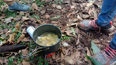 Pengolahan jamur di hutan