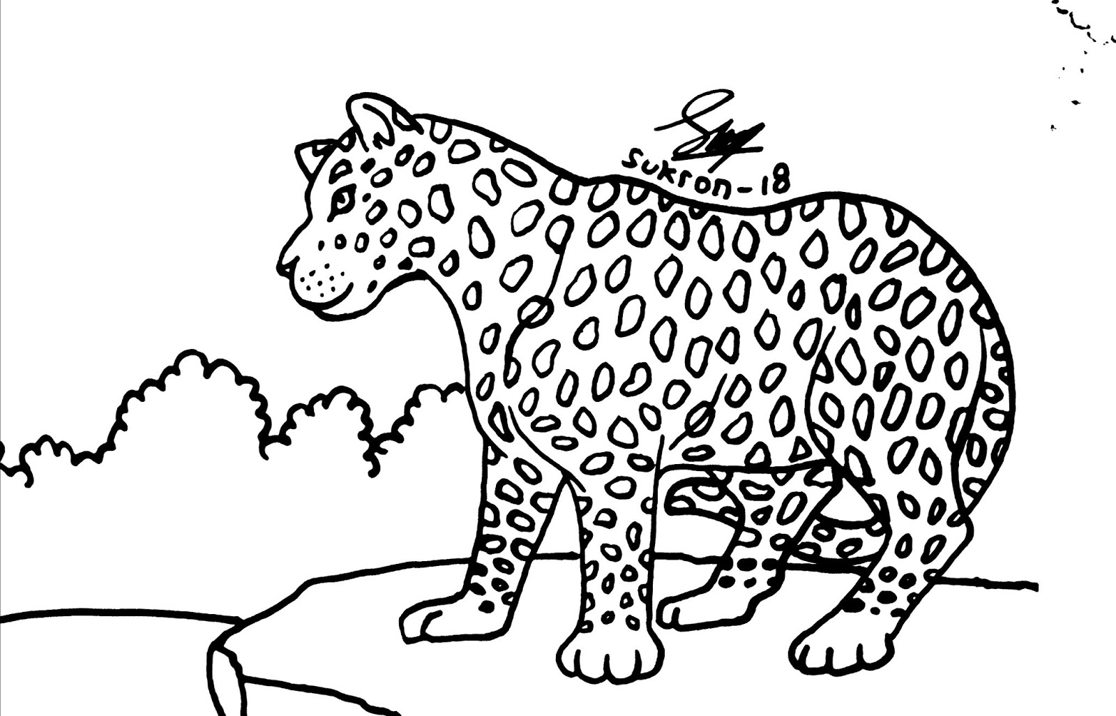 Mewarnai Macan Tutul Leopard Digambar Oleh Sukron