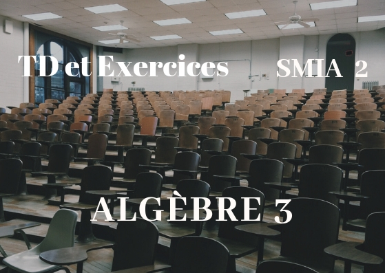 TD et Exercices corrigés d'Algèbre 3 SMIA Semestre S2 PDF