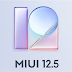 Europe (EEA) MIUI 12.5 for Xiaomi Mi 10 (Umi) - V12.5.1.0.RJBEUXM