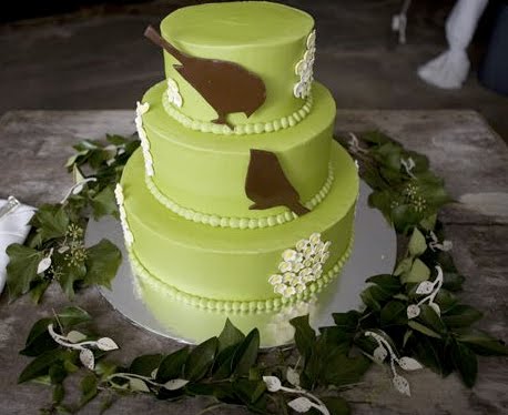 Lime green three tier wedding cake with two chocolate birds and small 