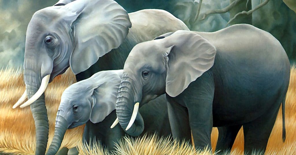 Mewarnai Gambar Gajah | Mewarnai Gambar