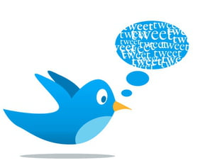 كل ما يجب ان تعرفه عن تويترtwitter و كيفية استخدامه؟