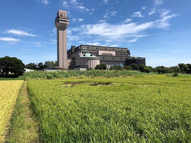 こしがや田んぼアート2018阿炎関と彩関（8/25）