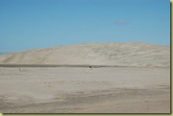 Dune