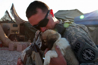 Soldiers with Pets Seen On www.coolpicturegallery.us