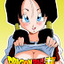 Pack Hentai de Videl - Dragon Ball (+25 imágenes) [MEDIAFIRE] 