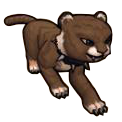 Chocolate Cat Cub - Pirate101 Hybrid Pet Guide