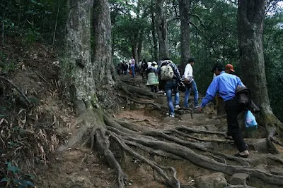 Hình gởi bè bạn coi cho vui (PTT). Pleiku phố núi và bạn bè