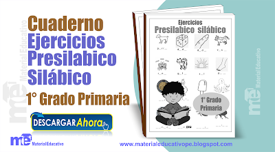 Cuaderno de Ejercicios Presilabico y Silábico