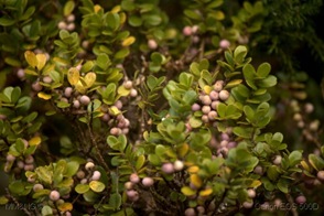 IMG_9257