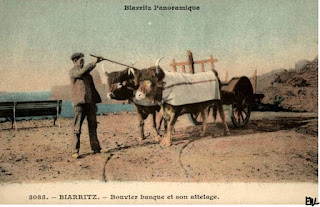 pays basque autrefois bouvier nettoyage