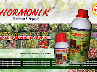 Hormon Pertumbuhan Organik - HORMONIK