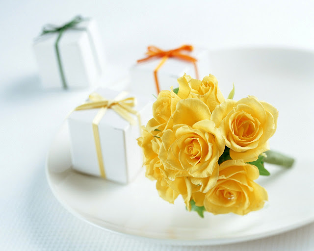 Beautiful Yellow Rose Wallpapers Free Download