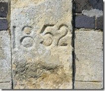 DSCF6347