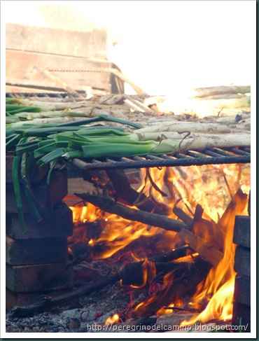Los calçots en preparación