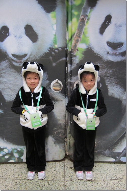 IMG_2974LR_Pandas
