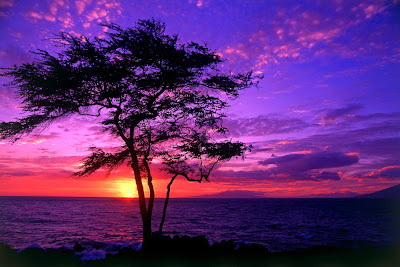 nature sunset wallpaper love for sunset