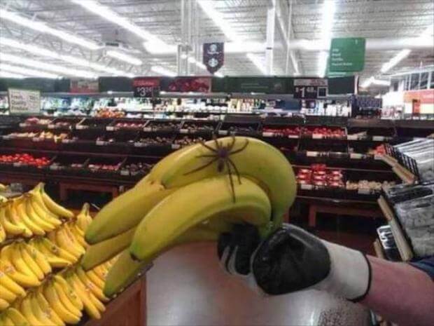 20 Pictures Of People Who Were Truly Unlucky - Do spiders like bananas