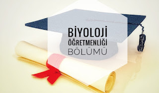 Biyoloji Öğretmenliği Bölümü Nedir Maaşları ve İş İmkanları Hakkında Bilgi