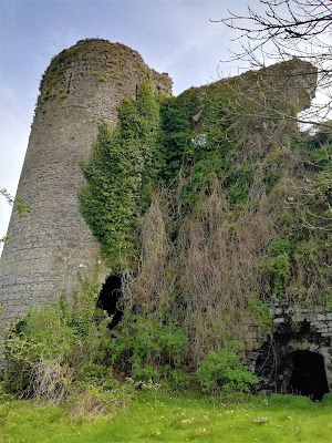 Lea Castle, Portarlington.