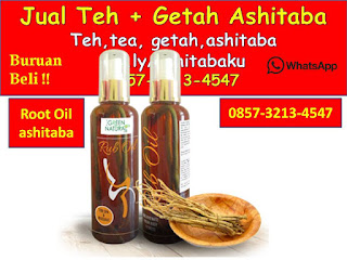 0857-3213-4547 Cara Mengkonsumsi Daun Ashitaba dan Getah Ashitaba