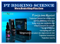 Brainking Plus 08123 01 8900